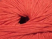 Poppy 154