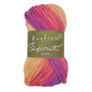 Hayfield Spirit Chunky ball band.jpg (100