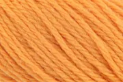California Poppy 7826