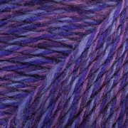 SY17 Purple Splendor