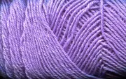 SY32 Little Lilac